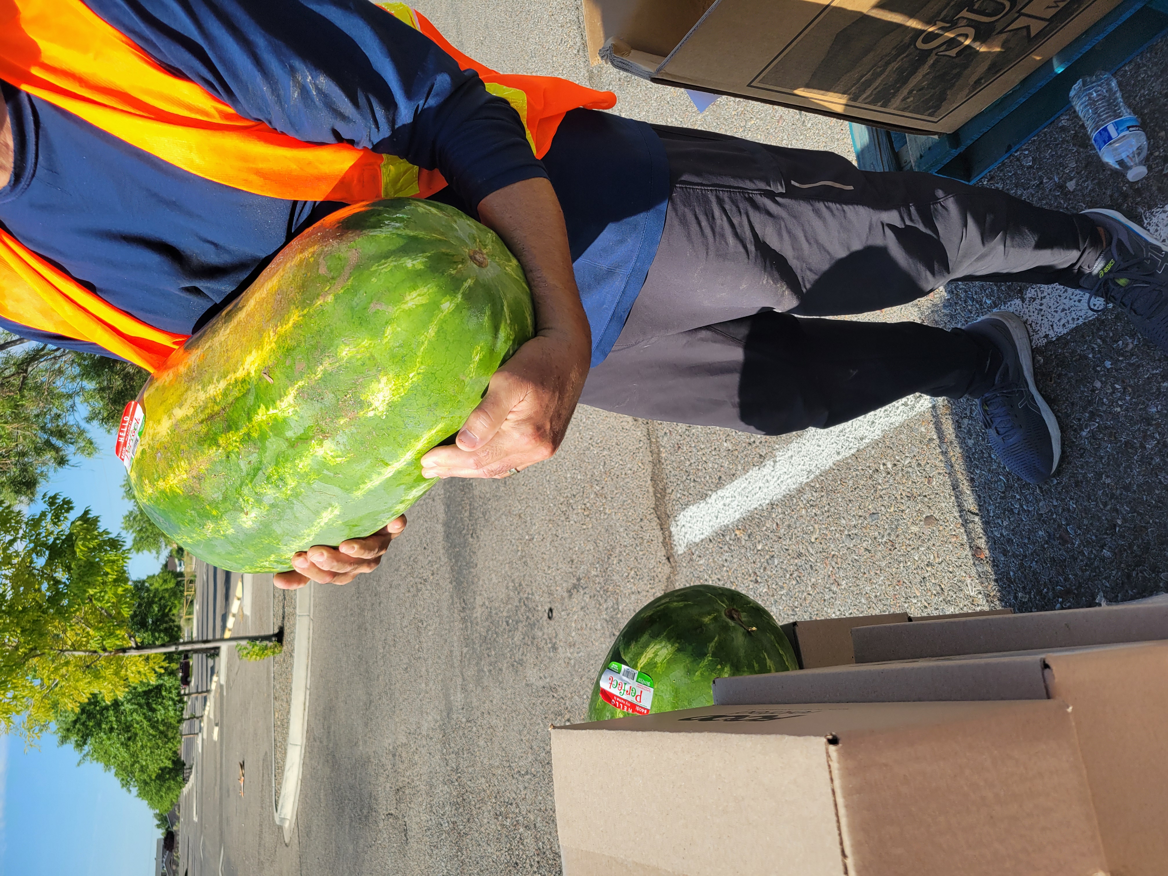 Man with orange safety shows off large watermelon.
